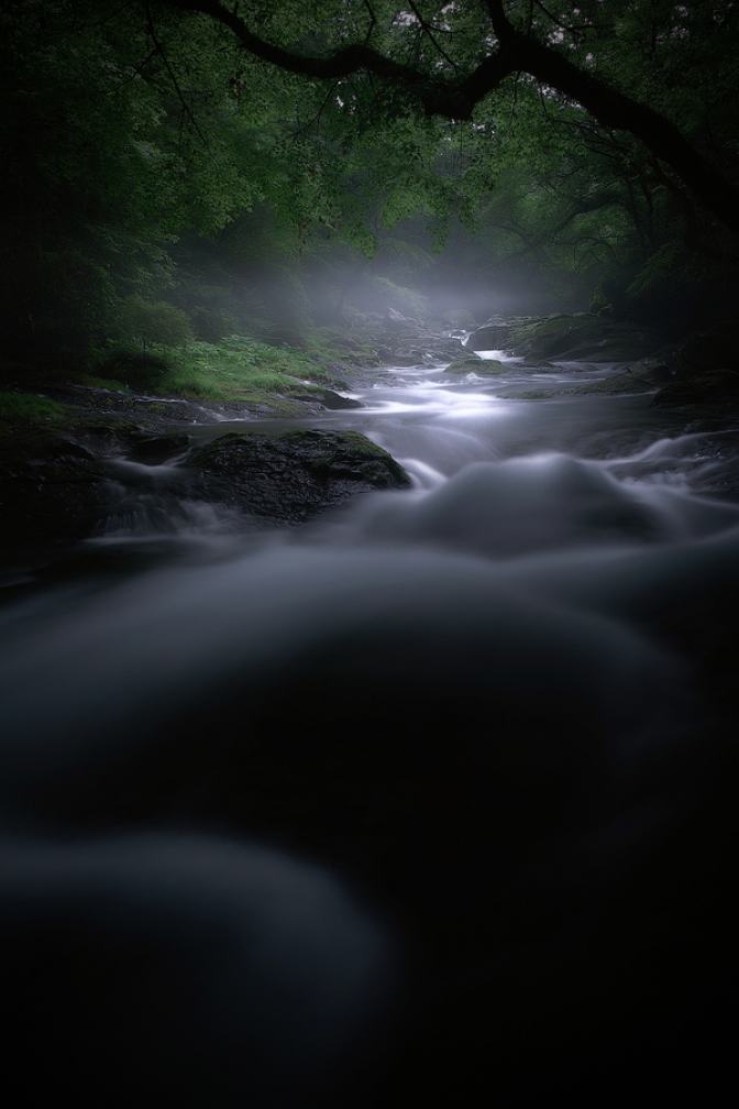 500px / Photo Forest of Spirits by Junya Hasegawa