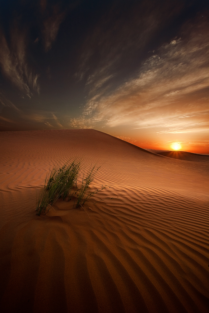 500px / Photo "Desert Light" by Ahmed Altoqi