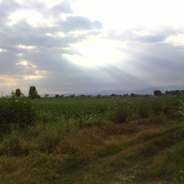 Monastirkaki fields & sunset 2