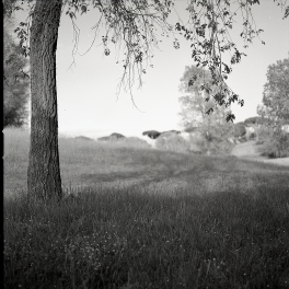 Untitled | Flickr - Photo Sharing!