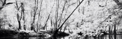 sinking hope | Flickr - Photo Sharing!